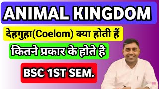 What is coelom and its types देहगुहा क्या होती हैं और types Bsc 1st year 1 semester [upl. by Lander]