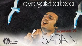 Saban Saulic  Stari kocijas  Audio 1979 [upl. by Acinnor]