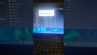 Copying Windows 10 22H2 files from sources folder onto my Windows 11 24H2 usb into sources folder [upl. by Nylevol945]