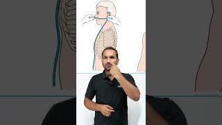 Procedure Nasogastric  NG Tube  Fundamental of Nursing  Testpaperlive shorts ngtube nursing [upl. by Lorenzana32]