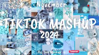 tiktok mashup 2024 December clean💕💕 [upl. by Giverin]