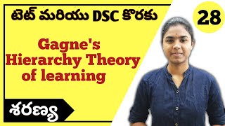 Gagnes Hierarchy Theory of Learning explained in telugu  CDP  Ctet Telugu  Ctet 2021 [upl. by Alane]