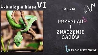 Biologia klasa 6 Lekcja 18  Przegląd i znaczenie gadów [upl. by Jannelle30]