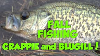 October Bank Fishing for Crappie and Bluegill [upl. by Odnama354]