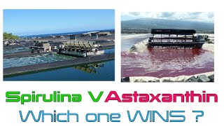 Spirulina V Astaxanthin Which one Wins  part 2 [upl. by Ear]