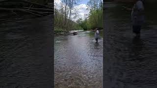 Big rainbow trout in West Virginia on Three Forks Creek Catch and release [upl. by Damien101]