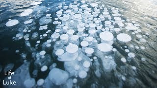 Unique Frozen Bubbles near Banff Canada [upl. by Lokkin423]