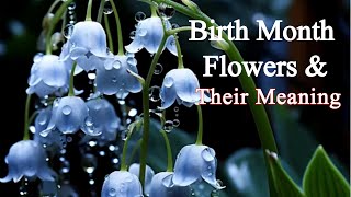 Birth Flowers By Month And Meaning  Whats Your Birth Flower Says About You richscenic viralvideos [upl. by Anytsirk]