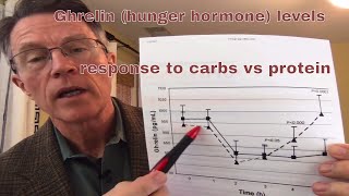 Ghrelin and Carbs vs Protein Wondering why you feel hungry 3 hours after a highcarb meal [upl. by Iams]