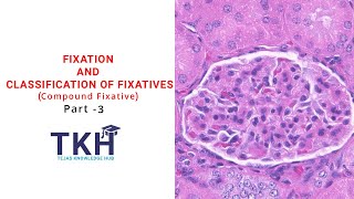 Fixation and Classification of Fixatives Part 3  Compound Fixative  Histopathology  DMLT [upl. by Iramat820]