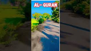 Surah Hujrat Ayat 3 and 5 Quran Urdu Translation shortsvideo shortvideo shorts shortsvideo [upl. by Von]