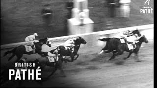 Kentucky Derby 1964 [upl. by Copeland]