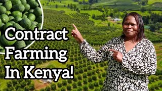 Contract Farming in Kenya Fruits Vegetables Livestock [upl. by Grazia]