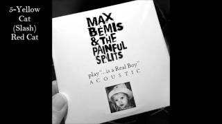 Max Bemis amp The Painful Splits  5 Yellow Cat Slash Red Cat  quotIs A Real Boyquot Acoustic [upl. by Eloisa]