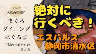 エスパルス戦に行ったら、絶対に外してはいけない観光スポットを紹介！【富士山日本平久能山東照宮三保の松原まぐろダイニングはぐるま安倍川もち】ぴぴおチャンネルVlog（20241111） [upl. by Enaxor546]