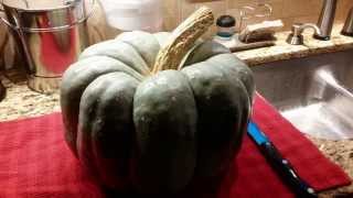 How to Prepare and Roast Jarrahdale Pumpkin [upl. by Imuya]