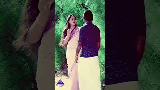 வாடையாய்  Poove Eduthu Video Song  Amman Kovil Kizhakale Movie  Vijayakanth  Radha  shorts [upl. by Nadaba]