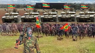 ODUU Hatattama October 232024 Injifannoo Waraana Bilisummaa Oromo WBO MilkeysaMedia [upl. by Adnohsak]