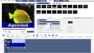 Ulead VideoStudio Video Tutorial  Titling Technique [upl. by Sitruc]