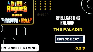 Spellcasting Paladin Tiny Rogues 025 Episode 267 [upl. by Wrench695]