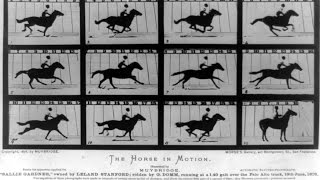 The Weird World of Eadweard Muybridge [upl. by Gustavo]