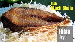 Elish Mach Bhaja Recipe  বাঙালির প্রিয় ইলিশ মাছ ভাজা  Hilsa Fry  Ilish Mach Bhaja  Recipe 91 [upl. by Atiuqrehs]