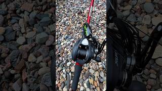 My new frogging setup FavoriteRodsUSA Absolute topwaterbassfishing bassfishing bigbass [upl. by Anelhtak]