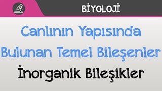 Canlının Yapısında Bulunan Temel Bileşenler  İnorganik Bileşikler [upl. by Etteniuq936]