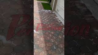 Paver restoration at it’s finest 🤩 paversealing pavermaintenance drivewaycleaning fyp foryou [upl. by Eelek845]