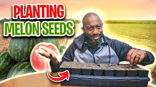 How to Start Watermelon Seeds [upl. by Heinrik]