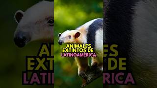 🦕🌎 Animales Extintos de Latinoamérica 🦖 [upl. by Eenyaj965]