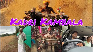 Kadri Kambala  ಕಂಬಳ  Buffalo race kantara udupi udupidistrictmedia [upl. by Engelbert]