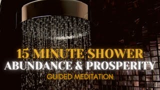 15 Minute Shower Meditation  Abundance and Prosperity Shower Meditation [upl. by Els]