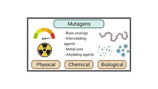 Mutagens Video No 544 [upl. by Gabriel]