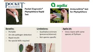 Phytophthora test kits [upl. by Kries511]