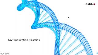 Webinar Standardization and Largescale Manufacturing of Plasmids for Viral Vector Production [upl. by Josephine]