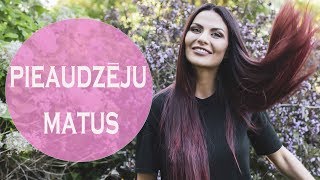 PIEAUDZĒJU MATUS  Nekaitīga pieaudzēšana  HAIR EXTENSIONS [upl. by Gerry]