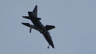 Northrop T38 Talon landing at Meadows Field [upl. by Eineeuq744]