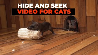 CAT GAMES 😺 Hide and Seek Mice for Cats to Watch with Bird Sounds [upl. by Ahsimal946]