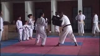 SHORINJI KEMPO KRANGGAN in ACTION 29 freesyle freestyle butterfly [upl. by Enillebyam]