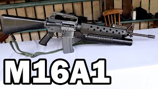 M16A1 – L’Emblématique Fusil d’Assaut Américain [upl. by Lybis]