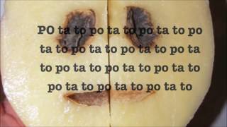 Cheryl Wheeler  Potato song with lyrics [upl. by Jereme949]