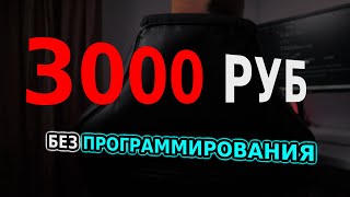 Зарабатывать не умея программировать  КАК [upl. by Enawyd]