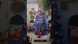 NATAL 2024 🎄 Árvore da Área gourmet natal christmas christmastree caminhandonasnuvens shorts [upl. by Wimsatt]