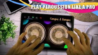 Congas amp Bongos Percussion [upl. by Ijok472]