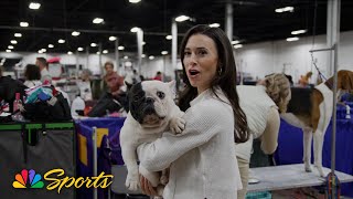 2024 National Dog Show will feature 205 breeds from all over the world  NBC Sports [upl. by Zetnwahs]