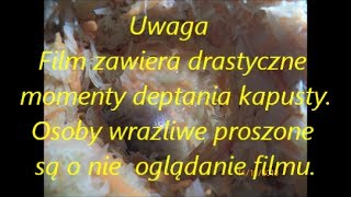 Kapusta kiszona jak zrobić na obiad [upl. by Zetnwahs]