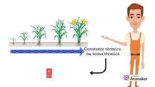 Grausdia conceito aplicação como calcular [upl. by Eaves]