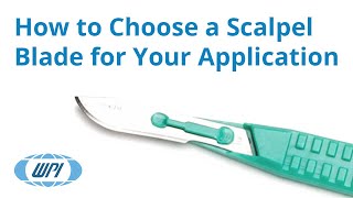 Disposable Knives  How to Choose a Scalpel Blade for Your Application [upl. by Llehcsreh346]