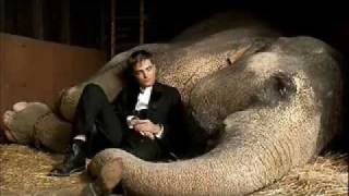 Please Dont Go Soundtrack Water For Elephants w Lyrics Español  English [upl. by Leunam783]